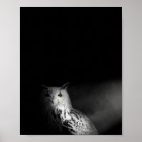 A Coruja, preto e branco, fotografia