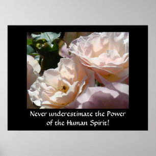 Póster A cura nunca subestima o poder do