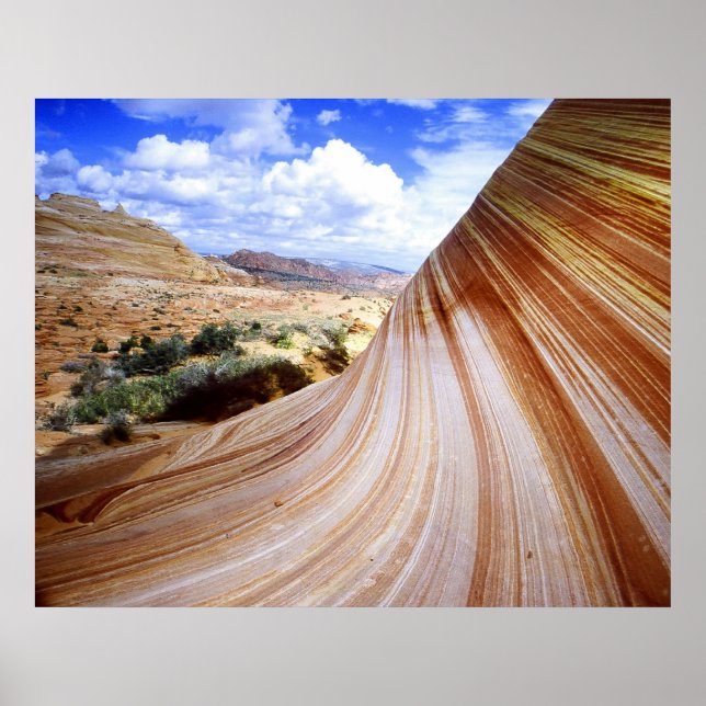 Poster A Curva (Frente)