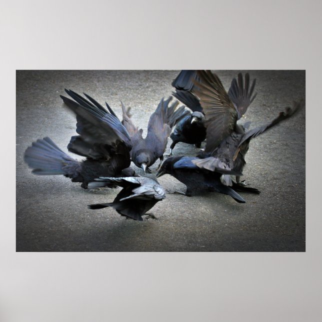 Poster A dança dos corvos (Frente)