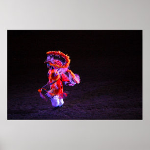 Póster A dança extravagante