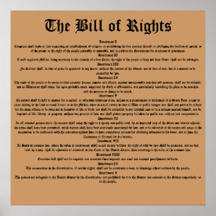 Póster A Declaração de Direitos