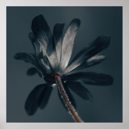 Poster A Deliciosamente Escura Flor