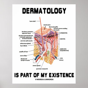 Póster A dermatologia é parte de minha existência (a an