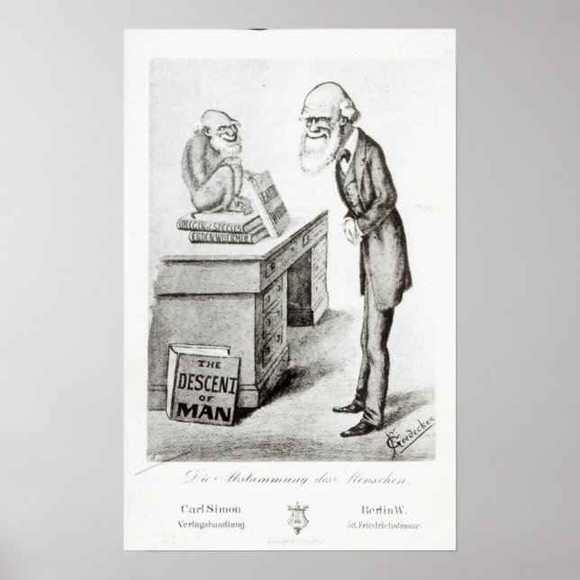 Póster A Descida do Homem (Frente)