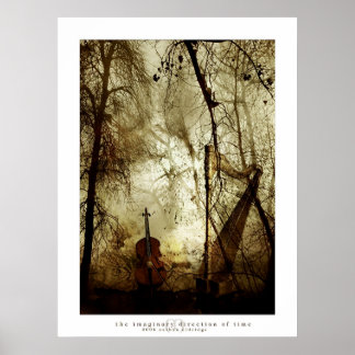 Póster A direção imaginária do tempo