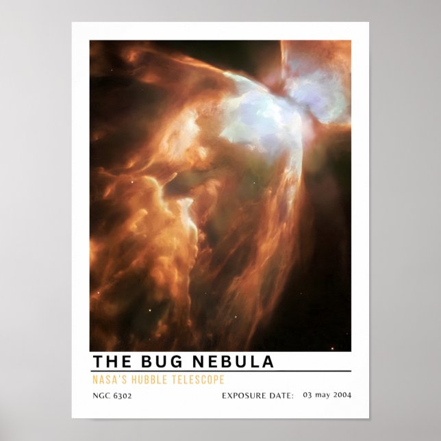 Poster A Educação Espacial da Nebulosa do Bug (Frente)