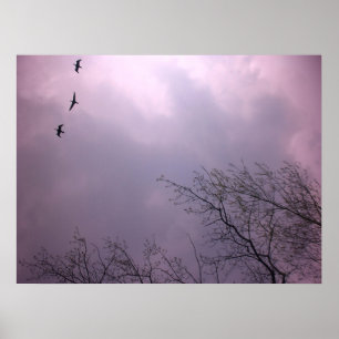 Póster A elevação crescente é nossa natureza - céu da