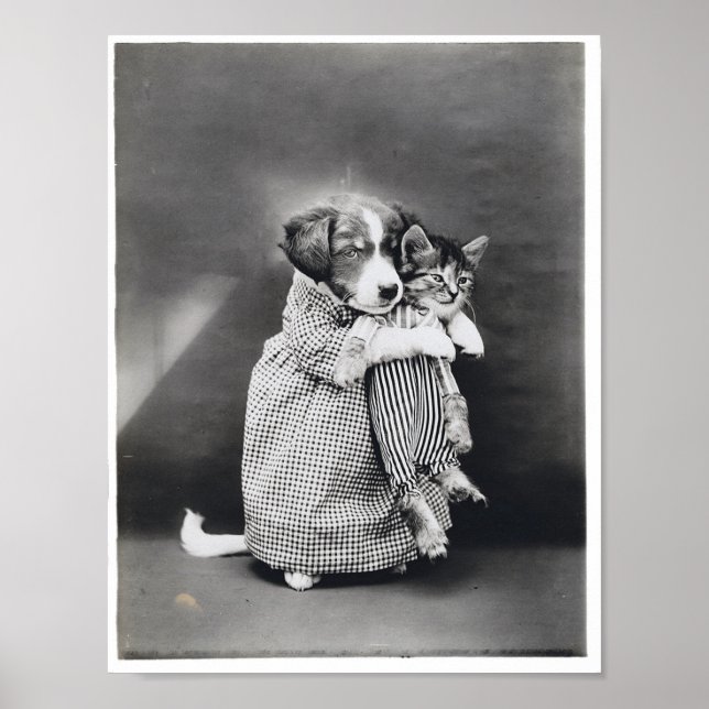 Poster A enfermeira Kitten Harry Whittier Frees 1914 (Frente)