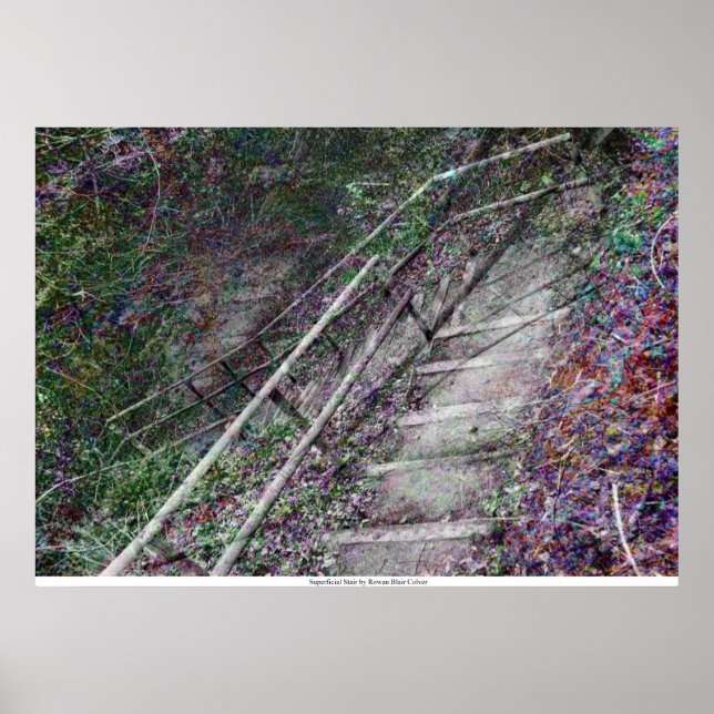 Póster A Escada Superficial de Rowan Blair Colver (Frente)