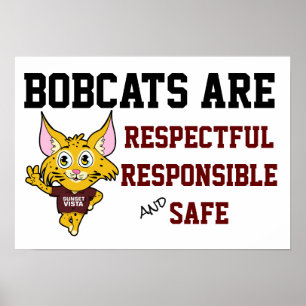 Poster A escola do lince ordena o cofre forte respeitoso