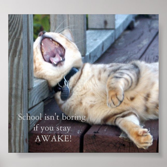 Poster A escola não é chata (Frente)