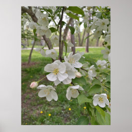 Poster A esperança está perto