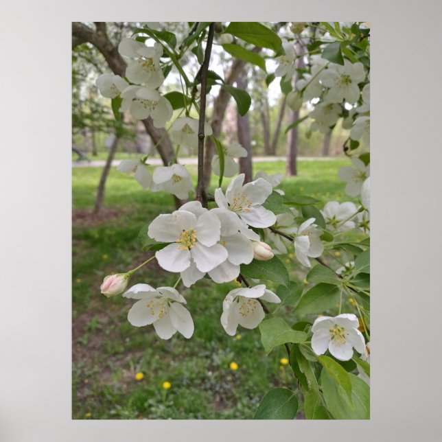 Poster A esperança está perto (Frente)