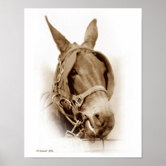 Póster A Esperar Para Trabalhar