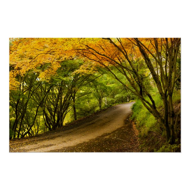 Póster A estrada country na queda (Frente)