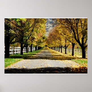 Póster A Estrada das Cores