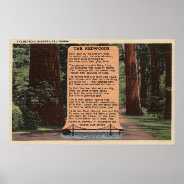 Poster A estrada de Sequoia, Poema de Strauss (Frente)