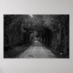 Póster A estrada escura