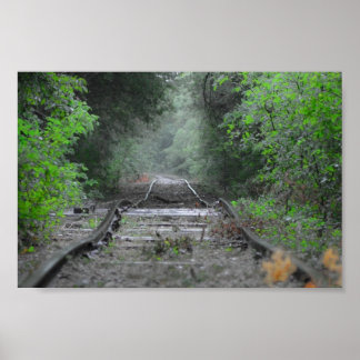 Poster A Estrada Menos Viajada