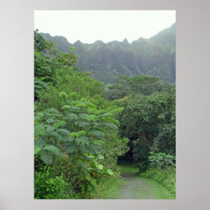 Póster A Estrada Não Tomada