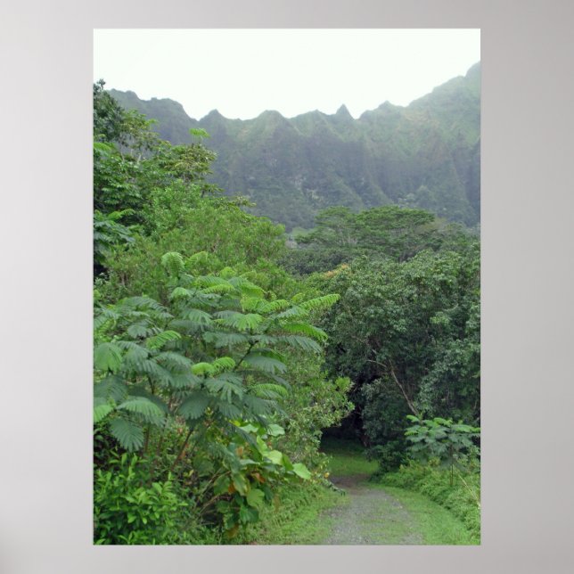 Póster A Estrada Não Tomada (Frente)