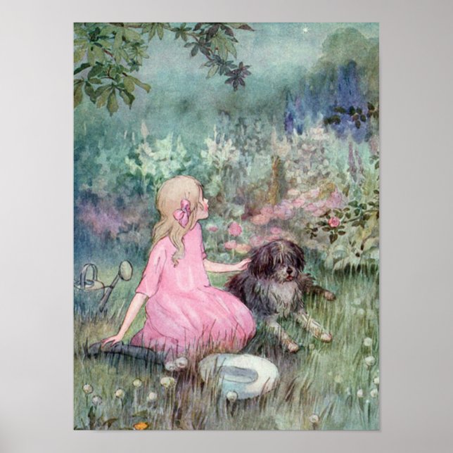 Poster A Estrela Canina no Céu (Frente)