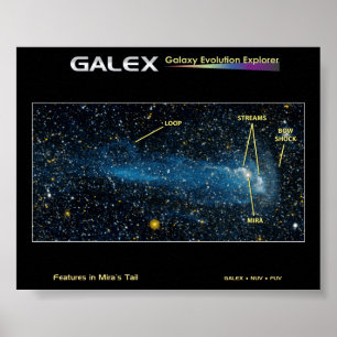 Póster A estrela detalhada Mira com cauda