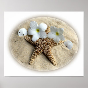 Poster A estrela do mar descasca o Plumeria na areia