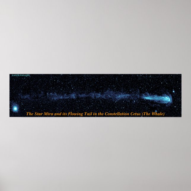 Póster A Estrela Mira Com Cauda Fluidora (Frente)