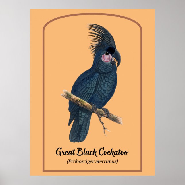 Poster A Excelente Cockatoo Preto (Frente)