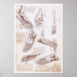 Póster A extremidade mais baixa, Leonardo da Vinci