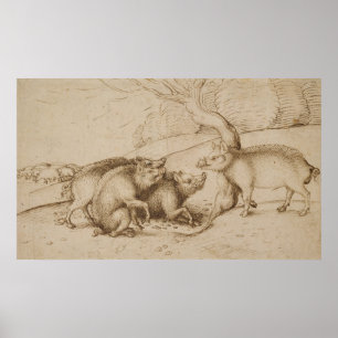 Póster A família Boar