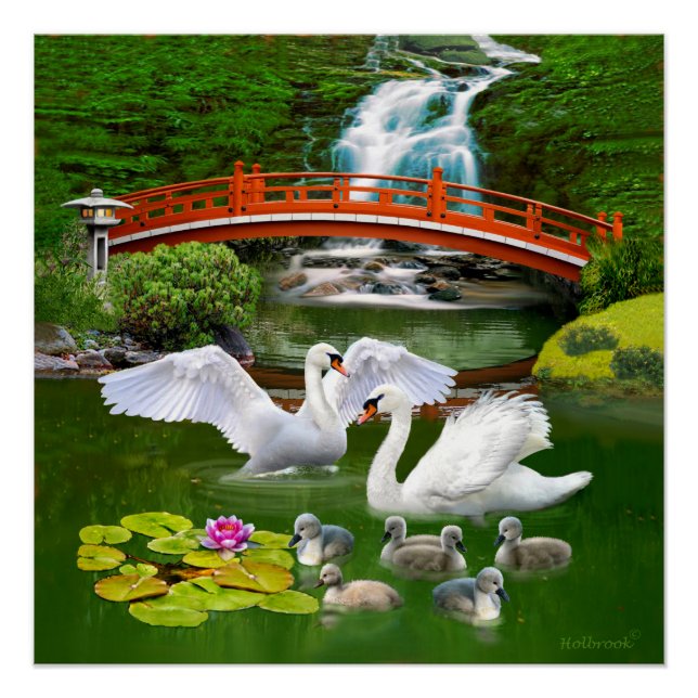 PÓSTER A FAMÍLIA DE CISNES (Frente)