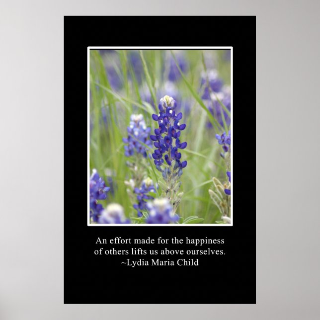 Poster A felicidade dos outros nos coloca acima de nós me (Frente)