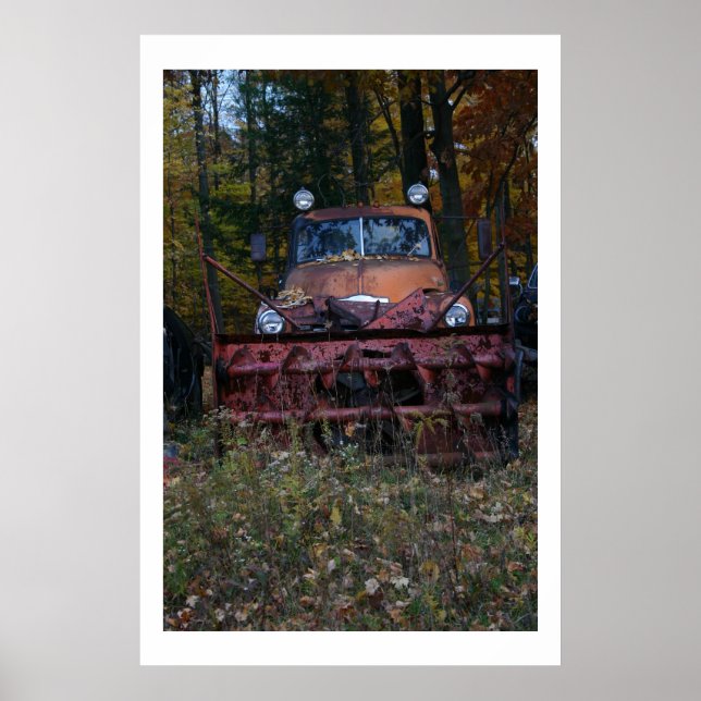 Poster A ferrugem leva-nos a todos (Frente)