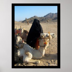 Poster A Filha do Deserto