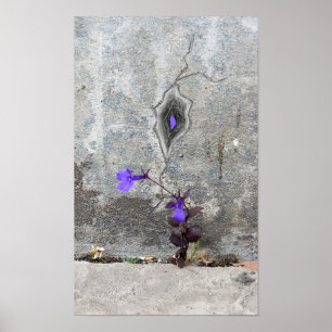 Poster A fissura na parede