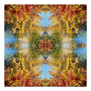 Póster A floresta bonita no outono…