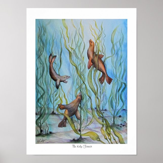 Poster A Floresta Kelp (Frente)