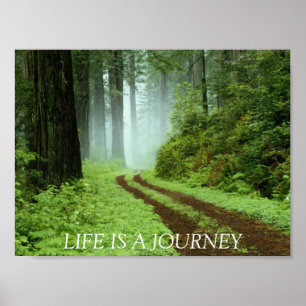 Poster A floresta, VIDA É uma VIAGEM