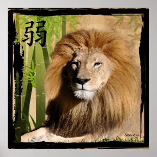 Poster A força de Christin