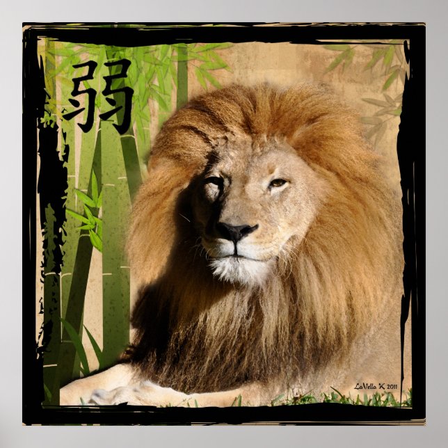 Poster A força de Christin (Frente)