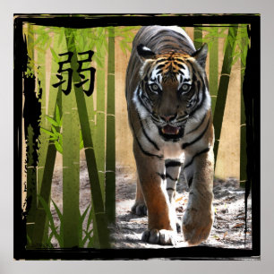 Poster A força de Christin