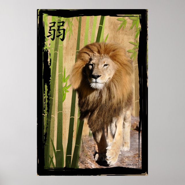 Poster A força de Christin (Frente)