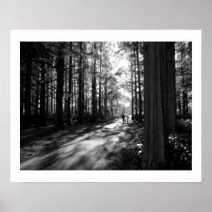 Poster A Forest Walk: Parque de Mizumoto, Tóquio