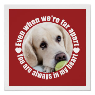 Póster A FOTO, poster personalizado com amor distante