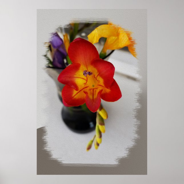 Poster A freesia vermelha (Frente)