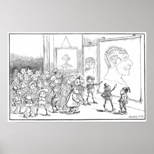 Póster A frenologia do estudo das brownies