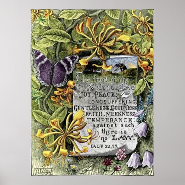 Poster A Fruta Do Espírito (Frente)